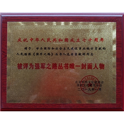童敏树荣誉证书