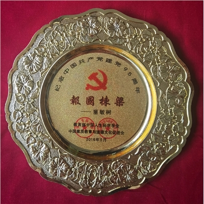 童敏树荣誉证书