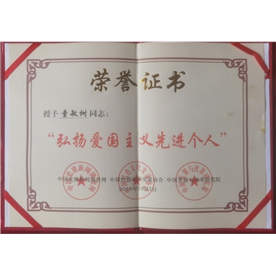童敏树荣誉证书