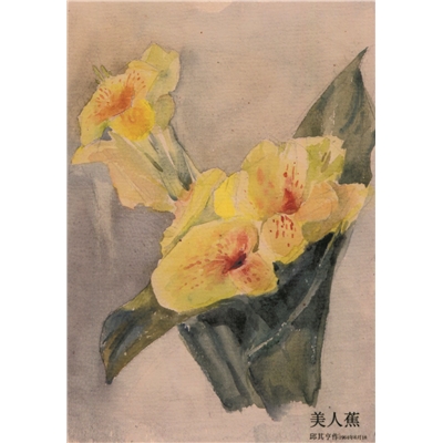 《美人蕉》水彩画  1964年6月18日