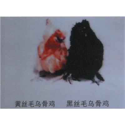 高全标摄影作品