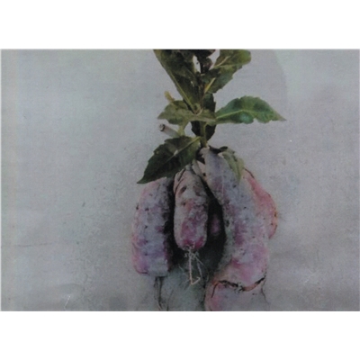 高全标摄影作品