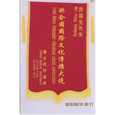 联合国国际文化传播大使