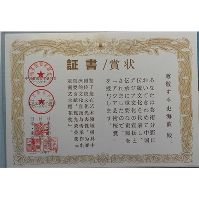 史海波荣誉证书