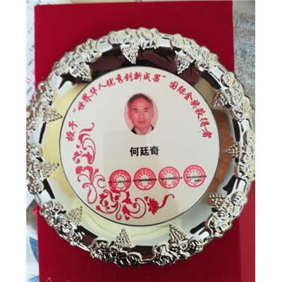 何廷奇荣誉证书