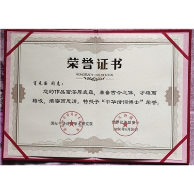 肖元国荣誉证书