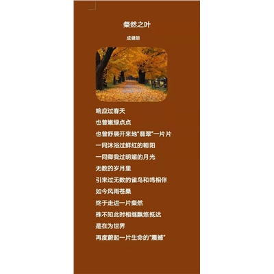 粲然之叶