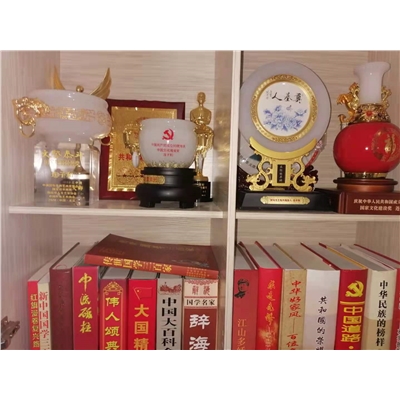 连子和荣誉证书