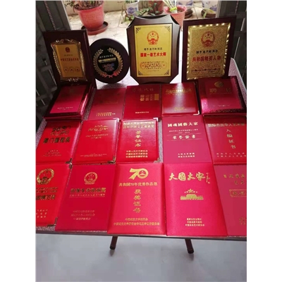 连子和荣誉证书