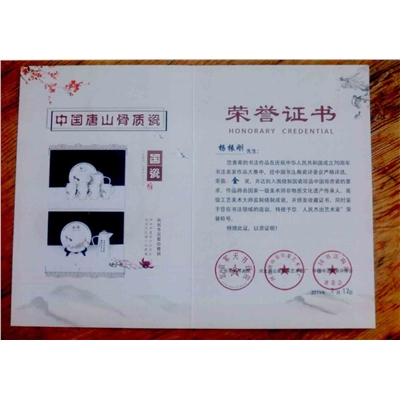 杨振刚荣誉证书