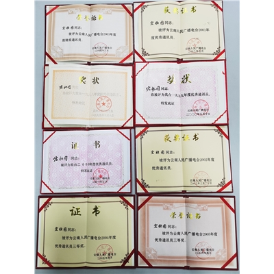 宏壮图荣誉证书